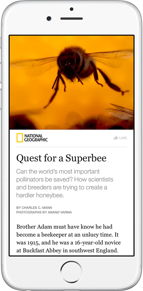 Instant Articles